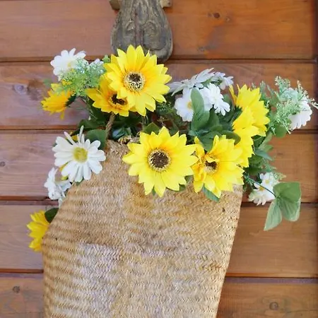 Alpesi faház Casa Margarida, Quinta Carmo - - Nazare *