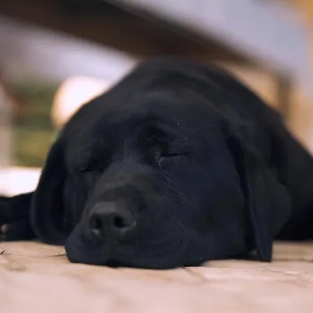 Casa Margarida, Quinta Carmo - - Nazare *