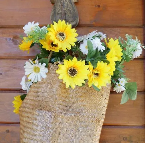 Domek alpejski Casa Margarida, Quinta Carmo - - Nazare *