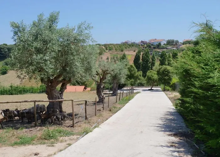 Casa Margarida, Quinta Carmo - - Nazare * Alcobaça