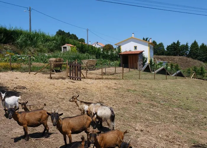 Casa Margarida, Quinta Carmo - - Nazare *